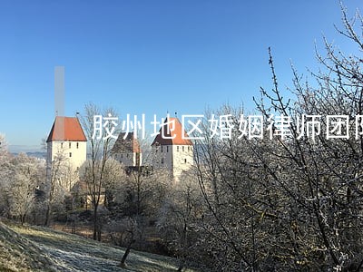 胶州地区婚姻律师团队 胶州地区婚姻律师团队