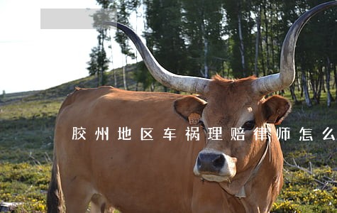 胶州地区车祸理赔律师怎么收费 胶州地区车祸理赔律师怎么收费