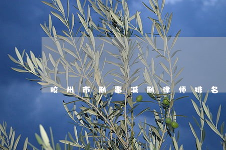 胶州市刑事减刑律师排名