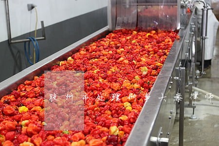 胶州市处理刑事大案律师