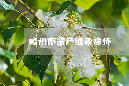 胶州市遗产继承律师 胶州市遗产继承律师