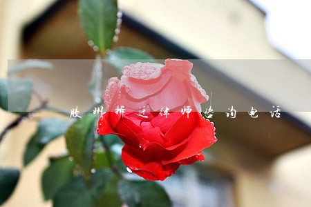胶州拆迁律师咨询电话 胶州拆迁律师咨询电话