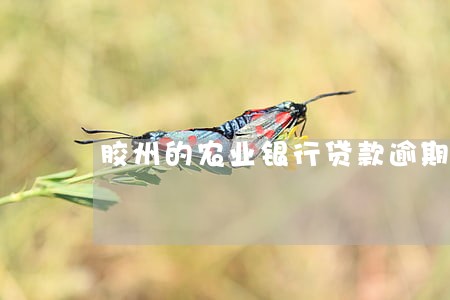 胶州的农业银行贷款逾期 胶州的农业银行贷款逾期