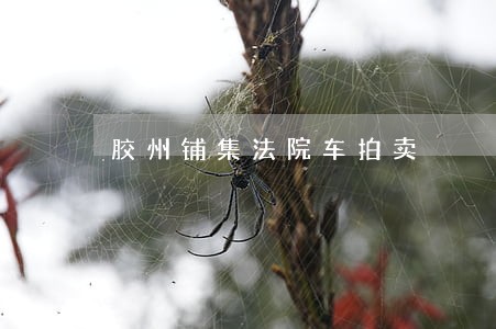 胶州铺集法院车拍卖 胶州铺集法院车拍卖