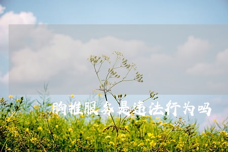 胸推服务是违法行为吗 胸推服务是违法行为吗