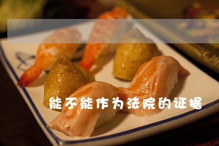能不能作为法院的证据 能不能作为法院的证据