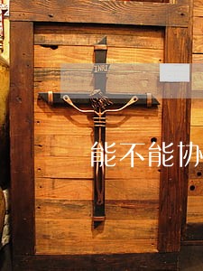 能不能协商只还本金呢