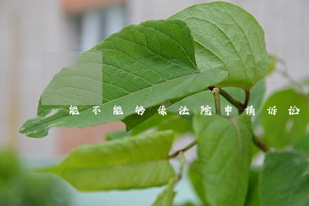 能不能够像法院申请诉讼 能不能够像法院申请诉讼