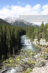 能不能把逾期的费用减免 能不能把逾期的费用减免