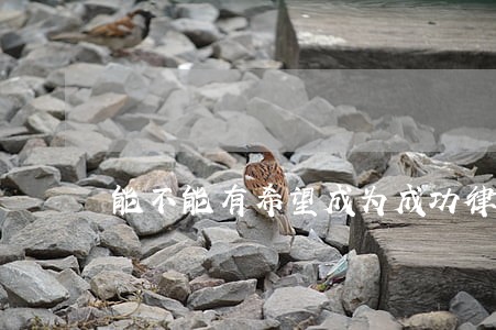 能不能有希望成为成功律师 能不能有希望成为成功律师