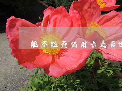 能不能查信用卡是否逾期