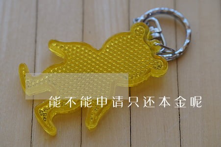 能不能申请只还本金呢 能不能申请只还本金呢