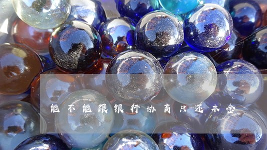 能不能跟银行协商只还本金