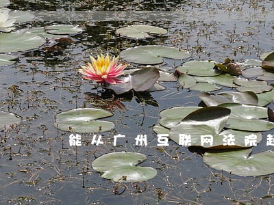 能从广州互联网法院起诉嘛 能从广州互联网法院起诉嘛