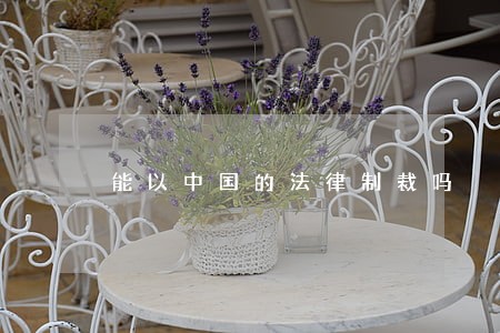 能以中国的法律制裁吗 能以中国的法律制裁吗