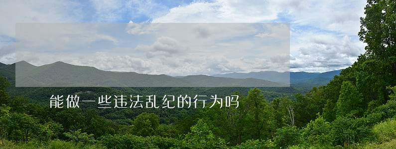 能做一些违法乱纪的行为吗 能做一些违法乱纪的行为吗