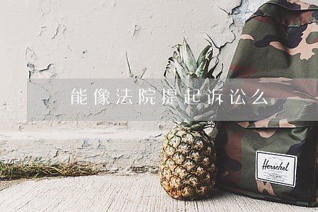 能像法院提起诉讼么 能像法院提起诉讼么