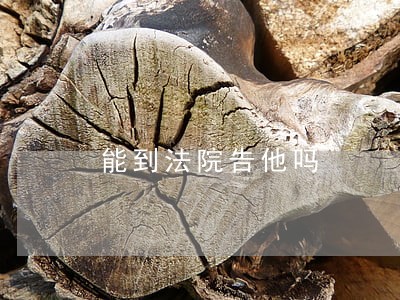 能到法院告他吗 能到法院告他吗