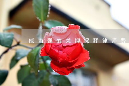 能力强的关押保释律师费用标准 能力强的关押保释律师费用标准