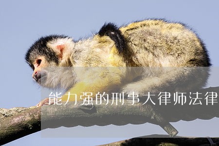 能力强的刑事大律师法律咨询 能力强的刑事大律师法律咨询