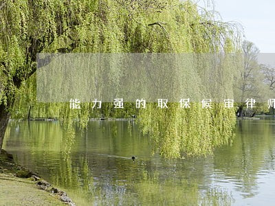 能力强的取保候审律师费用标准 能力强的取保候审律师费用标准