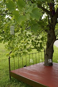 能力强的婚姻财产律师找谁好 能力强的婚姻财产律师找谁好