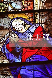 能力强的盗窃案子律师诉讼费 能力强的盗窃案子律师诉讼费