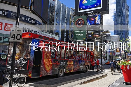 能去银行拉信用卡逾期明细嘛 能去银行拉信用卡逾期明细嘛