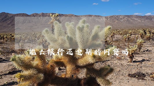 能去银行还逾期的网贷吗 能去银行还逾期的网贷吗