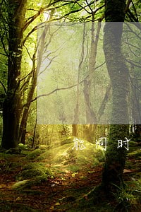 能同时主张逾期利息和罚息 能同时主张逾期利息和罚息