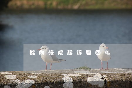 能向法院起诉要回么 能向法院起诉要回么