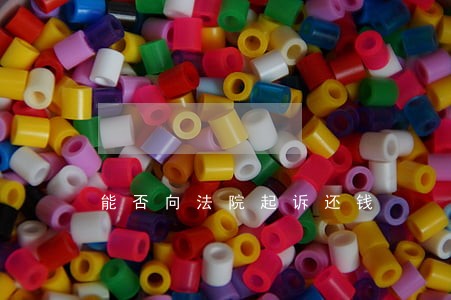能否向法院起诉还钱 能否向法院起诉还钱