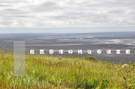 能否因债权转让申请变更诉讼主体 能否因债权转让申请变更诉讼主体