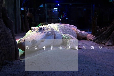 能否开具逾期消除证明 能否开具逾期消除证明