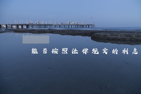 能否按照法律规定的利息起诉