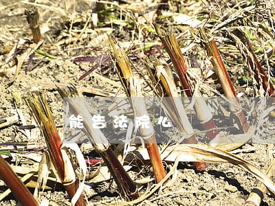 能告法院么 能告法院么