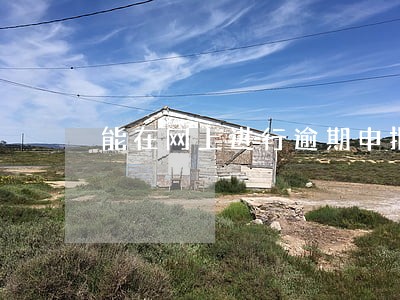 能在网上进行逾期申报吗 能在网上进行逾期申报吗