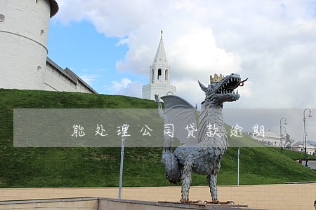 能处理公司贷款逾期 能处理公司贷款逾期