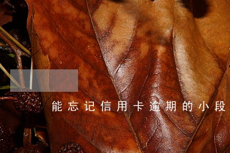 能忘记信用卡逾期的小段子
