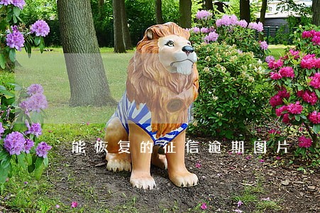 能恢复的征信逾期图片 能恢复的征信逾期图片