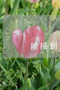 能接到二审法院的开庭传票吗 能接到二审法院的开庭传票吗