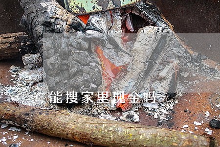 能搜家里现金吗