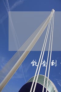 能查到个人违法记录吗 能查到个人违法记录吗