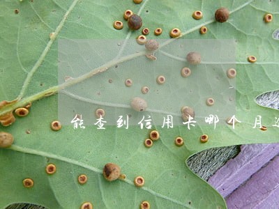能查到信用卡哪个月逾期了吗 能查到信用卡哪个月逾期了吗
