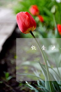 能查快递记录吗