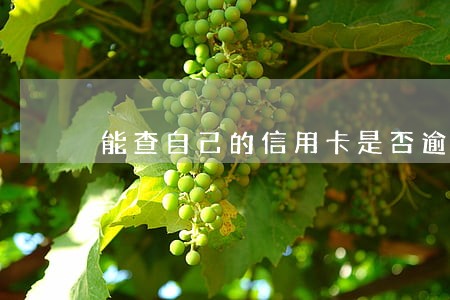 能查自己的信用卡是否逾期 能查自己的信用卡是否逾期