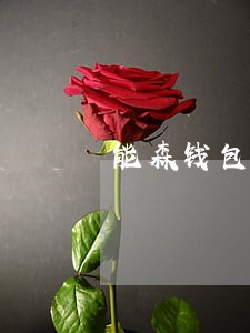 能森钱包逾期了怎么样 能森钱包逾期了怎么样