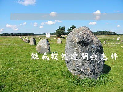 能森钱包逾期会怎样 能森钱包逾期会怎样