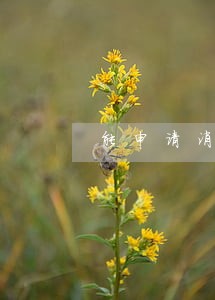 能申请消除信用卡逾期还款记录吗 能申请消除信用卡逾期还款记录吗
