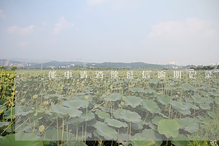 能申请消除征信逾期记录吗 能申请消除征信逾期记录吗